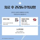 이천종합동물병원 | 강아지 호흡곤란 황달 복부팽만, 강아지 IMHA 예방과 치료_이천종합터미널동물병원