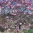 금산목욕탕 이미지