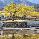 산동면사무소 이미지