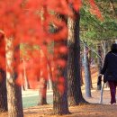 햇살공원 배드민턴장 이미지