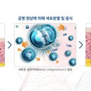 리디안의원 이미지