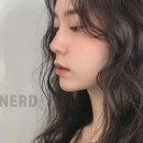 너드헤어