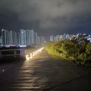 웰빙빌리지 티스토리