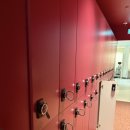 아이원핸드워시 | 톤즈의원에서 종아리/손 레이저제모 5회차 내돈내산 후기 (젠틀맥스프로플러스)