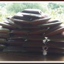 삶-풍경…愛 이미지