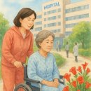 꽃사랑 - 평창군 대관령로 91 | 꽃사랑