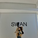 스완폴댄스 이미지