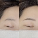메이비브로우