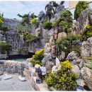 토담레스토랑 이미지