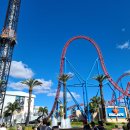 테마파크 이미지