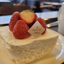 투썸플레이스 양주옥정점 이미지