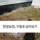 현영농장 네이버블로그