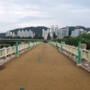 삼호교 화장실 이미지
