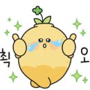 힐링수납정리 이미지