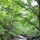 안성리-8 이미지