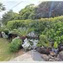 오앤비팜스테이 이미지