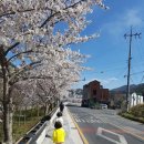 안계마을회관 이미지