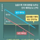 치매를 피하고 싶다? ‘평생 학습’으로 뇌의 통장 잔액을 늘려라 이미지