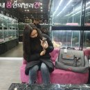 내 품안의 반려견(강서점) 이미지