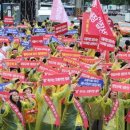 광장유통 이미지