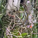 우성농원 이미지