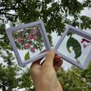 호수공원7로 이미지