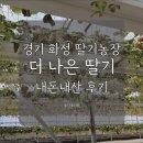 신왕리 | 화성 딸기체험 추천 더나은딸기 딸기농장 아이랑 방문후기