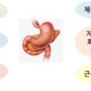 헤세디아 이미지