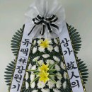 국가대표꽃배달엔플라워 이미지