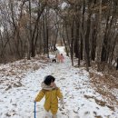 🔔 바보를 찾아간 공주님 이미지