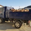 풍산태사로 이미지