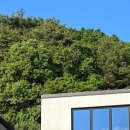 이랑둔내휴양림 이미지