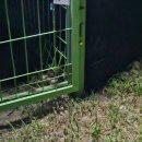 금사리공중화장실 이미지