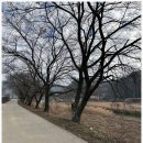 강그리기펜션민박 | 공주가족여행 숙소로 다녀온 독채 공주민박, 조용해서 더 좋았던 자유민박 후기