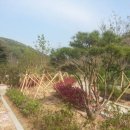 남양동사무소 이미지