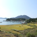 하일중학교 이미지