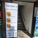 독 블레스 유 이미지