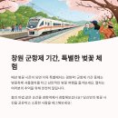 진해대로 이미지