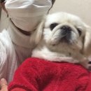 원스타컴퍼니