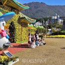 거제시농업개발원 이미지