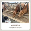 오세요목장 | [파주, 아이랑 가볼 만한 곳 추천] 룰루 목장 다양한 체험까지!