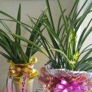 남경공인중개사사무소 이미지