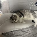 행복보일러