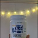 요거단백