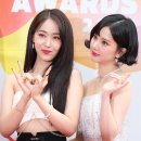 신비체육관 이미지