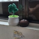 신용준치과의원 | [망원] 후르츠산도 맛집🍀보통공원 망원