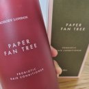 트리헤어(Tree Hair)