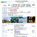유유투어여행사