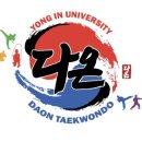 용인대 다온 태권도 이미지