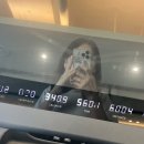 마인드휘트니스 노형오거리점 | 제주 노형동 남편도 데려오고 싶은 헬스장 추천 [마인드휘트니스 노형점]